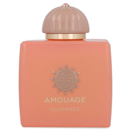 AMOUAGE GUIDANCE EAU DE PARFUM 100 ML UNISEX