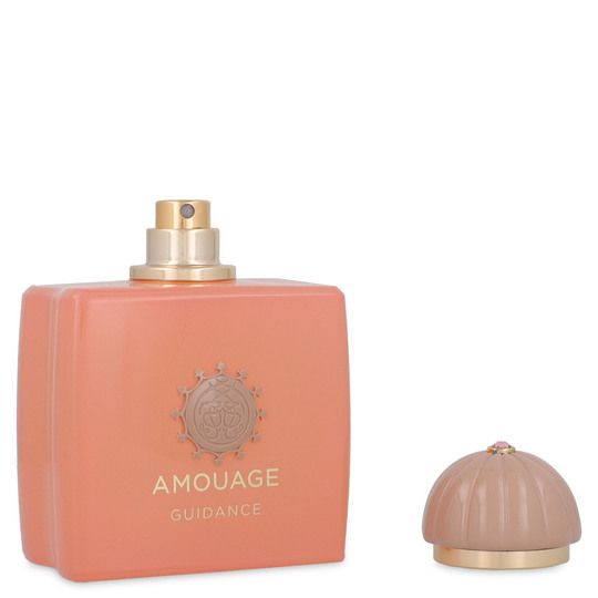 AMOUAGE GUIDANCE EAU DE PARFUM 100 ML UNISEX